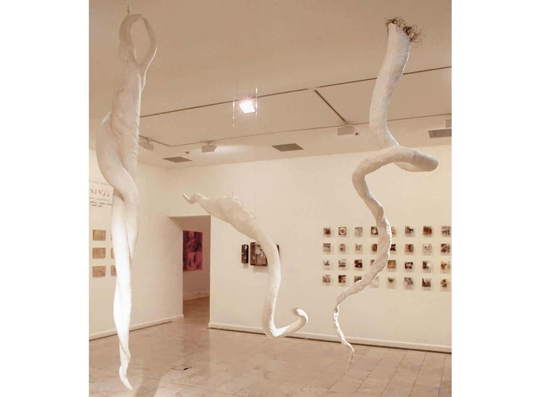 Exhibition: Connect - sculptures called Rapture, Embraced Captive, Untamed, Gala