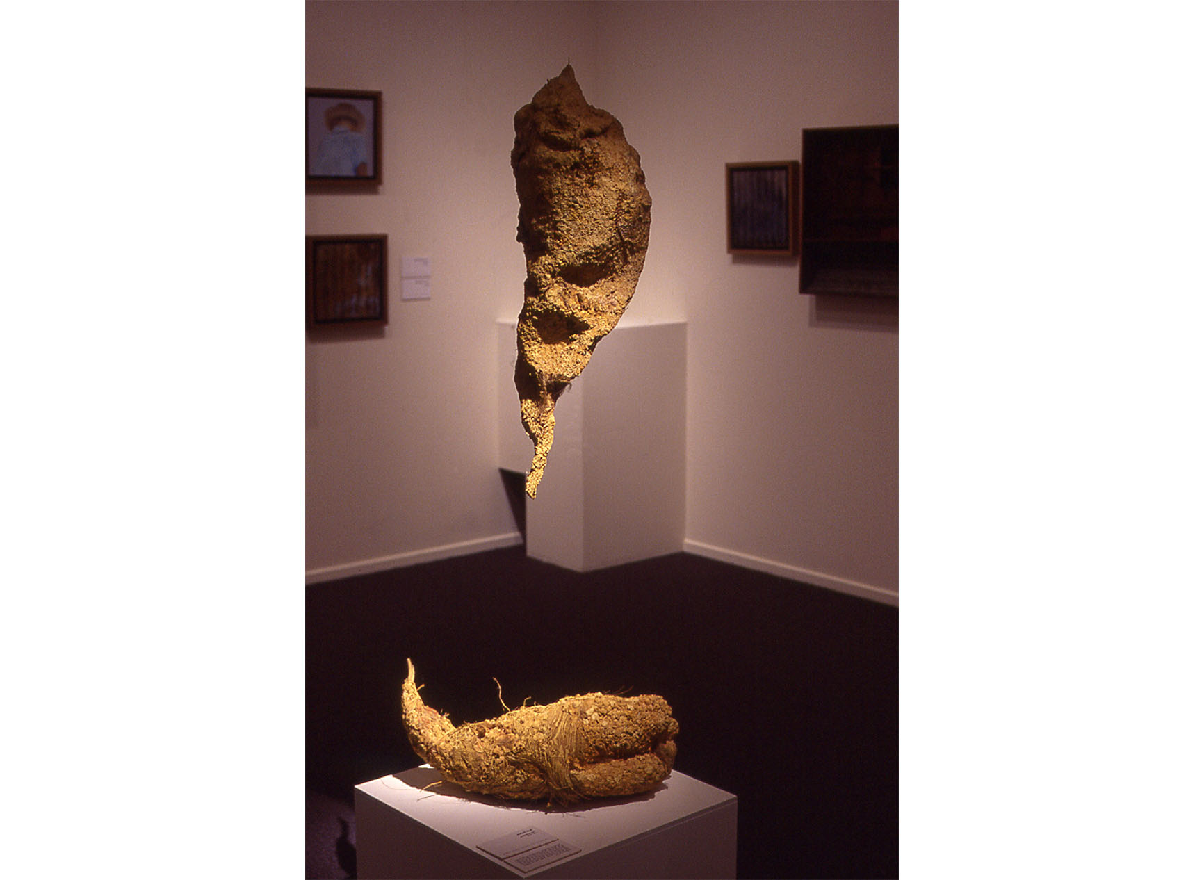 Two sculptures - one suspended, one lying - representing desert and past lives.  Paper mache intermingled with dead insects and small animal bones